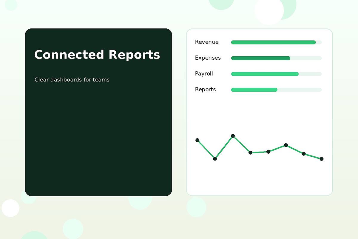 Cloud accounting and business management dashboard overview